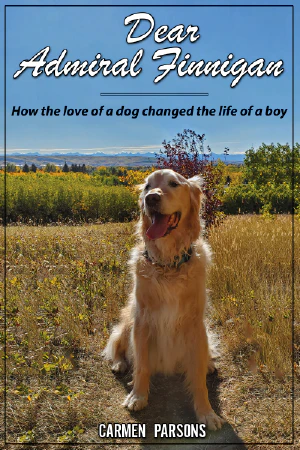 Dear Admiral Finnigan Front Cover